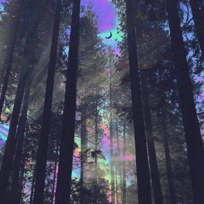 BET9官方APP下载正版手机app下载